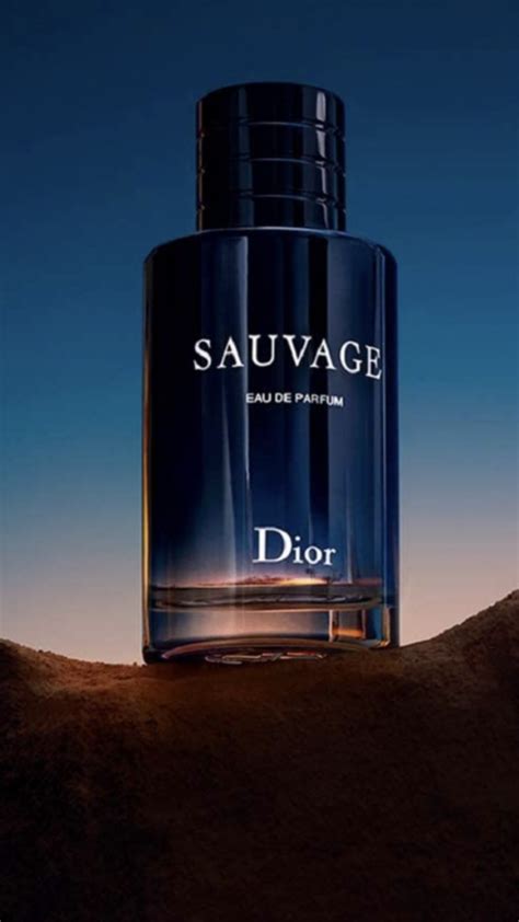 sausage fragrance from dior|Dior cologne for men.